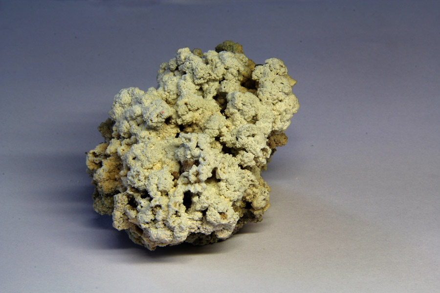 Иссык-кульский коралл